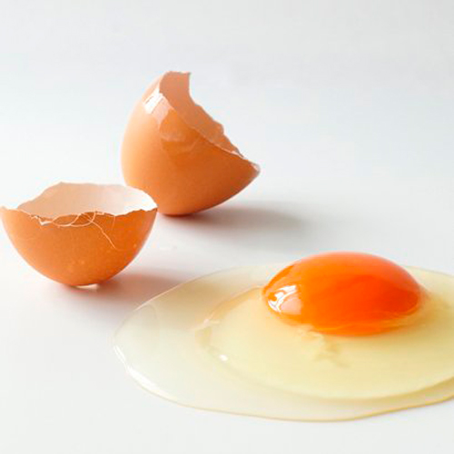 割られた卵の画像
