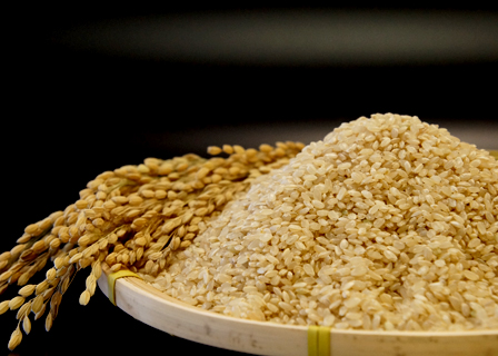 萩原農場の多古米 玄米