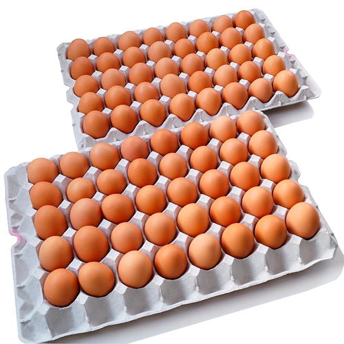 卵ケースに入れられた80個の卵
