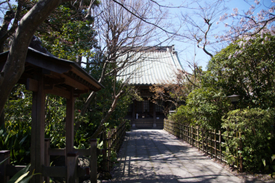 木更津にある証城寺の風景