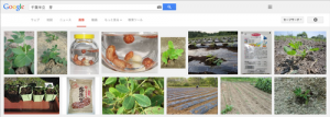 googleの画像検索