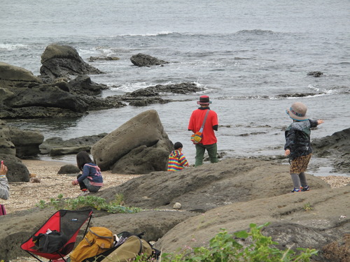 白浜フラワーパークの海辺