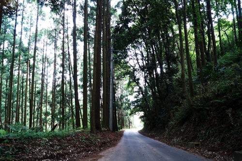 狭い山道