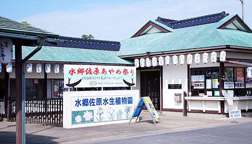 水生植物園