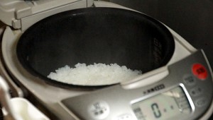 炊飯器で炊いた多古米