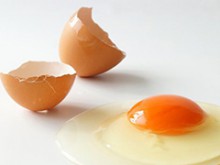 卵と殻
