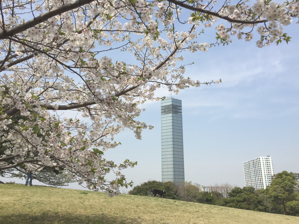 千葉ポートパークの外観