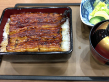 うなぎ専門店八幡屋ブログのサムネイル画像