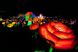 東京ドイツ村ランタンフェスティバル夜の風景