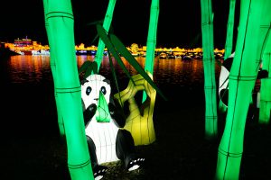 東京ドイツ村ランタンフェスティバル夜の風景