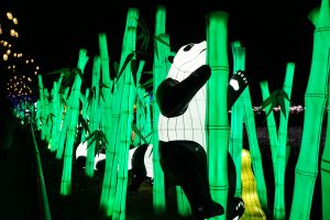 東京ドイツ村ランタンフェスティバル夜の風景