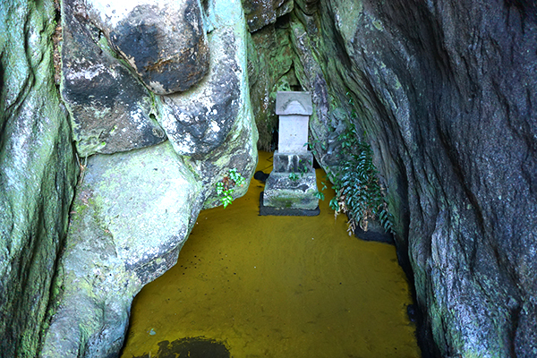 国指定天然記念物　竹岡のヒカリモ発生地 黄金井戸の画像