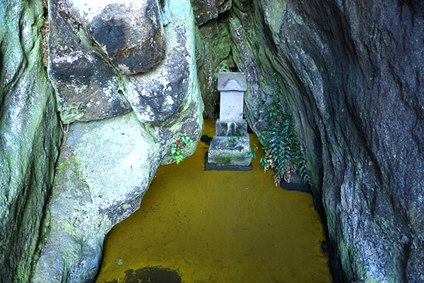 国指定天然記念物　竹岡のヒカリモ発生地 黄金井戸の画像