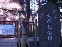麻賀多神社の外観
