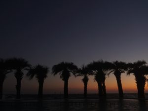 白浜フラワーパークの夜景