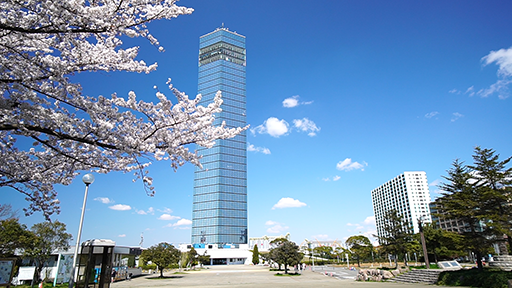 千葉おすすめの桜スポット千葉市ポートパークのポートタワーと桜の画像