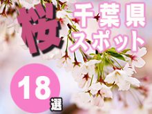 千葉県のさくらおすすめスポット