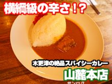 木更津山麓本店カレー