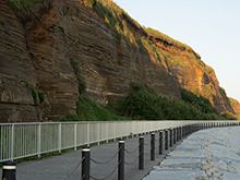 屏風ケ浦の遊歩道の風景