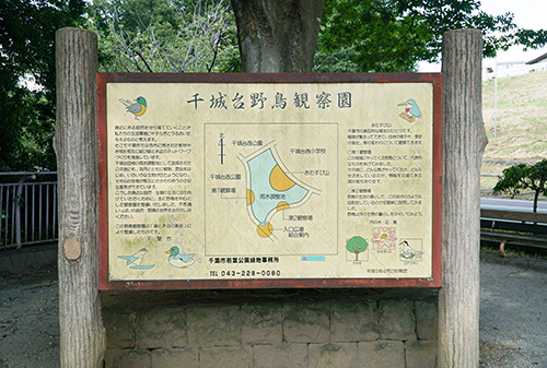 千城台野鳥観察園の案内図の画像