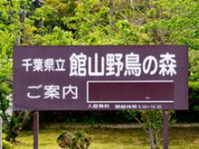 千葉県館山野鳥の森の看板