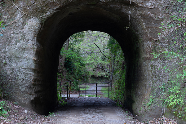 市原クオードの森のトンネルの画像