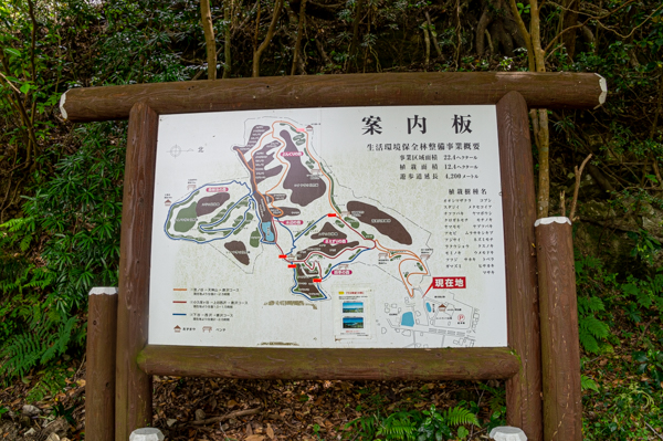 館山野鳥の森の案内図の画像