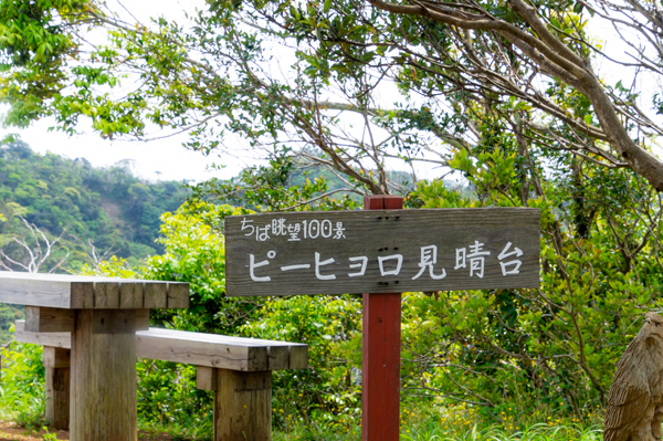 館山野鳥の森のピーヒョロ見晴台の看板画像