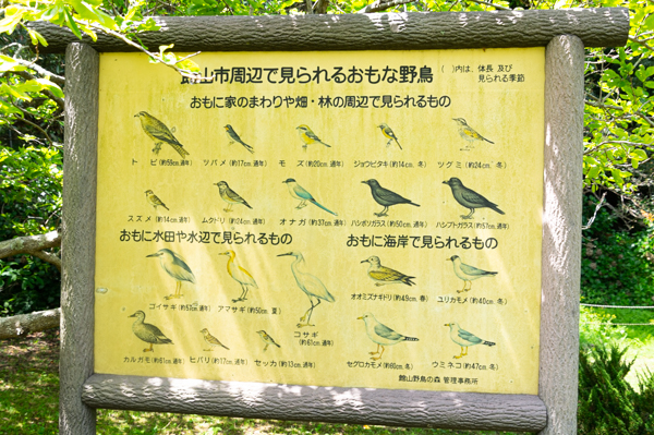 館山市周辺で見られる野鳥の種類の看板画像