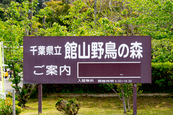 館山野鳥の森の看板画像