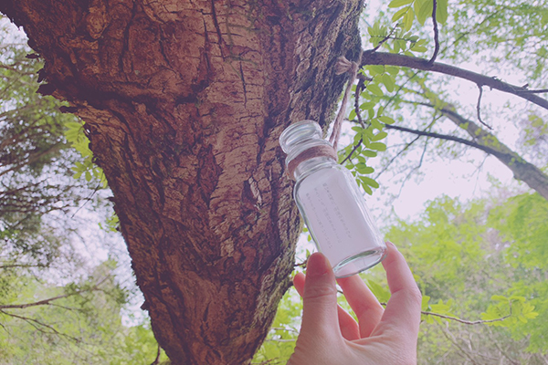 市原クオードの森の謎解き文学トレッキングの小瓶の画像