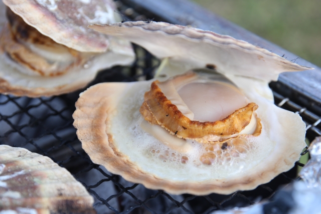 九十九里の犬連れOKの浜焼きランチ　海鮮網焼き 浜茶屋網元 殻付きホタテを焼いている画像