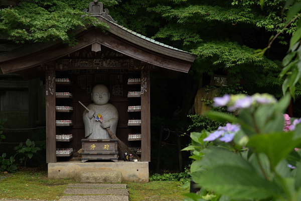 本土寺のお地蔵様と紫陽花の写真