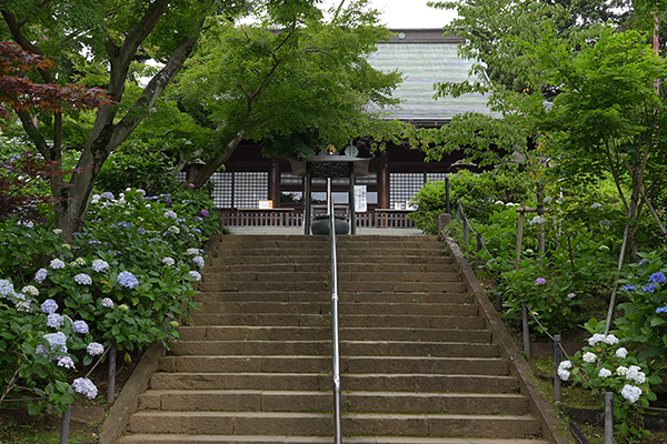 本土寺お参り階段