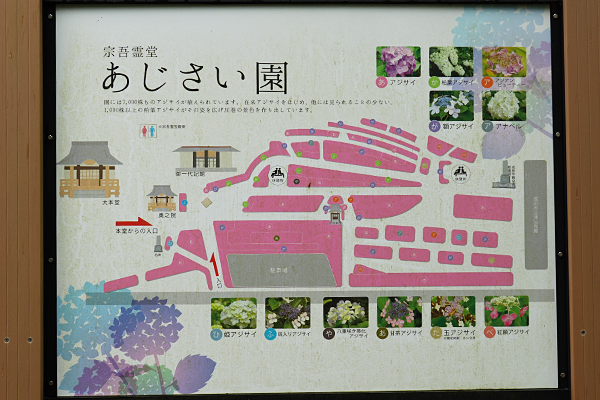 修吾霊堂のあじさい園の地図