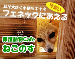 猫の巣 だけど猫だけじゃない テーマパーク型アニマルcafe 保護動物cafe ねこのす に行ってみた 絶品ちば本舗