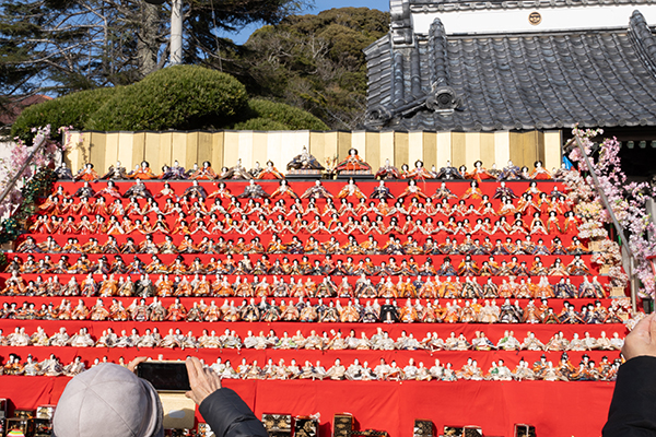 勝浦ビッグひな祭り＿覚翁寺の雛段