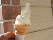 千葉県内牧場ソフトクリームまとめサムネイル画像