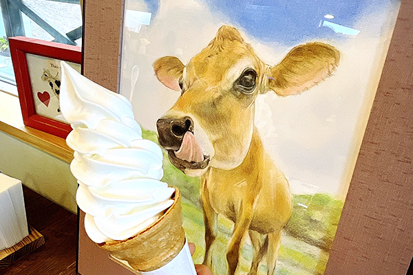 須藤牧場直営店カーフハッチヨーヨのソフトクリーム