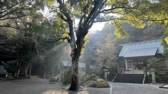 安房神社