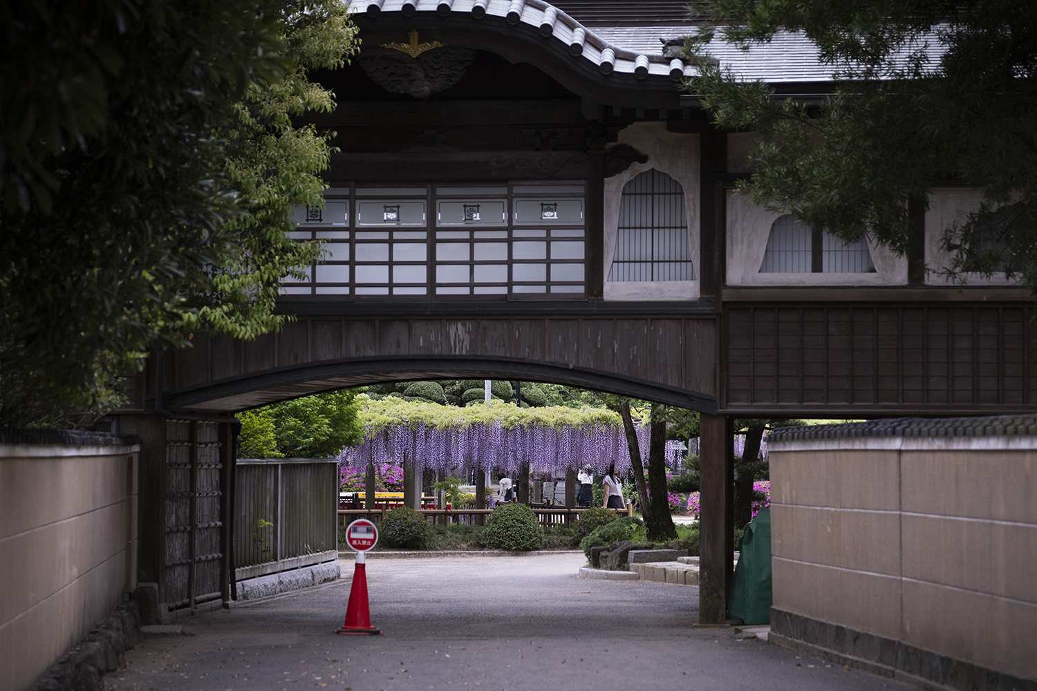 妙福寺の藤の入り口前から見える絶景