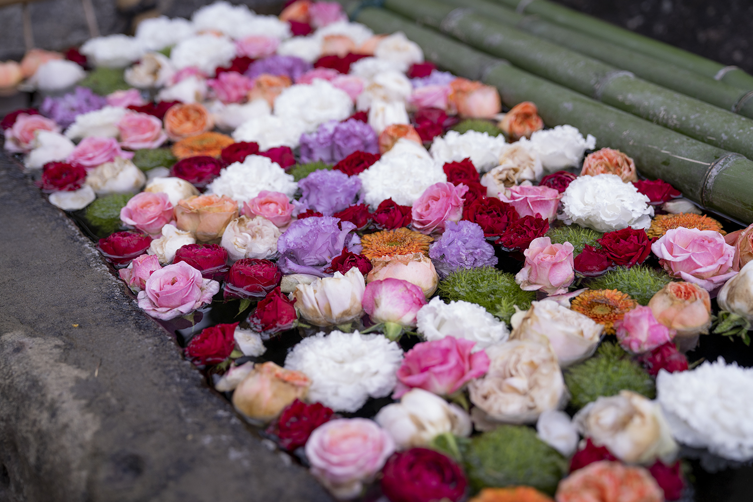 妙福寺の花手水の写真