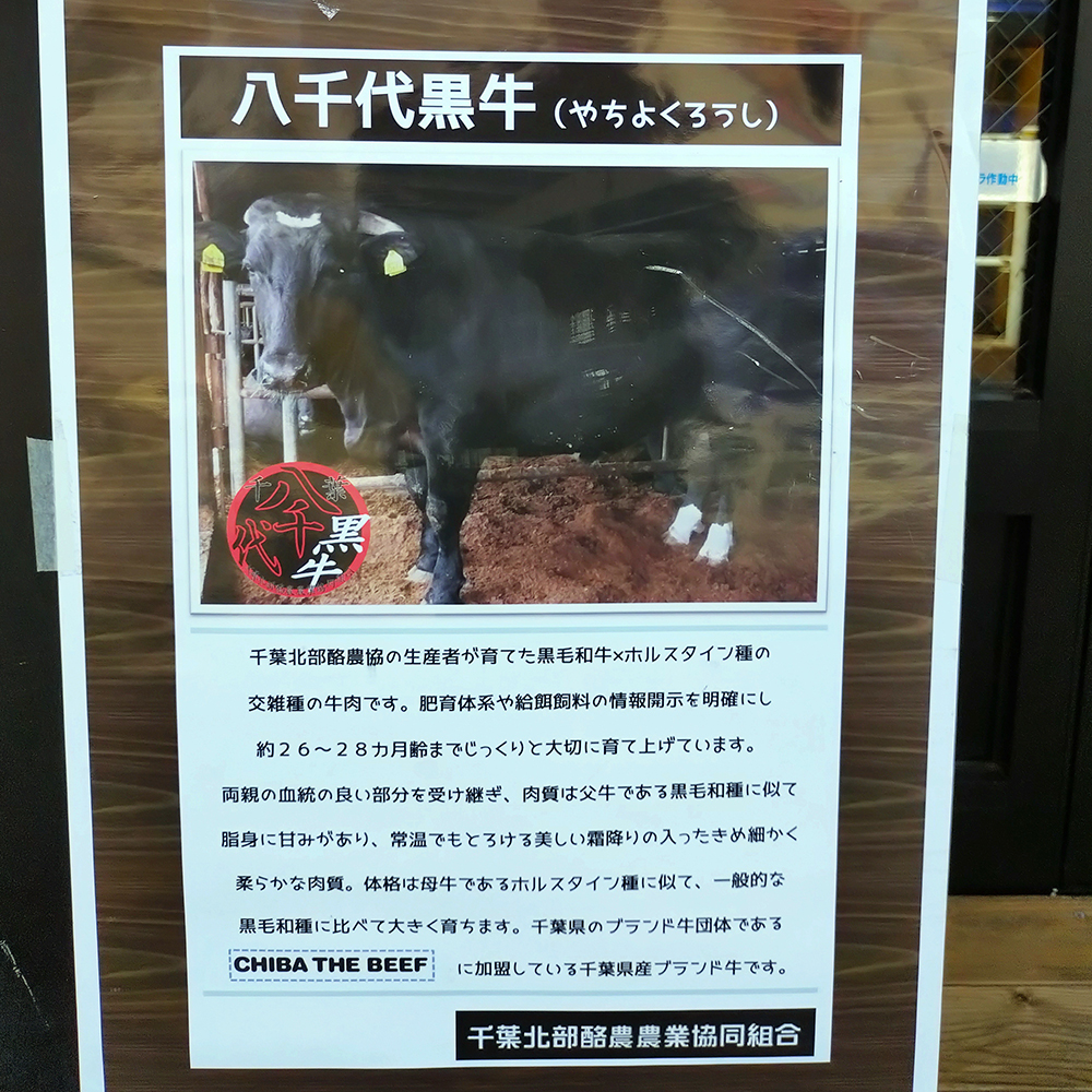 ヤチクロバーガーの八千代黒牛の説明ポスター画像