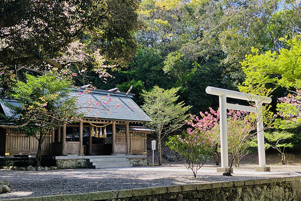 安房神社_下の宮の写真