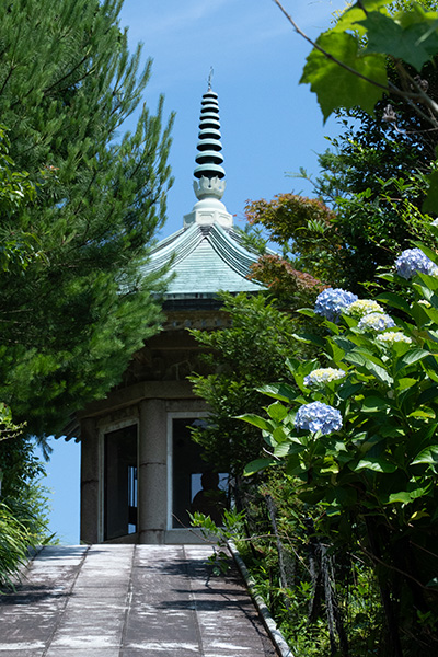 朝日日蓮大菩薩