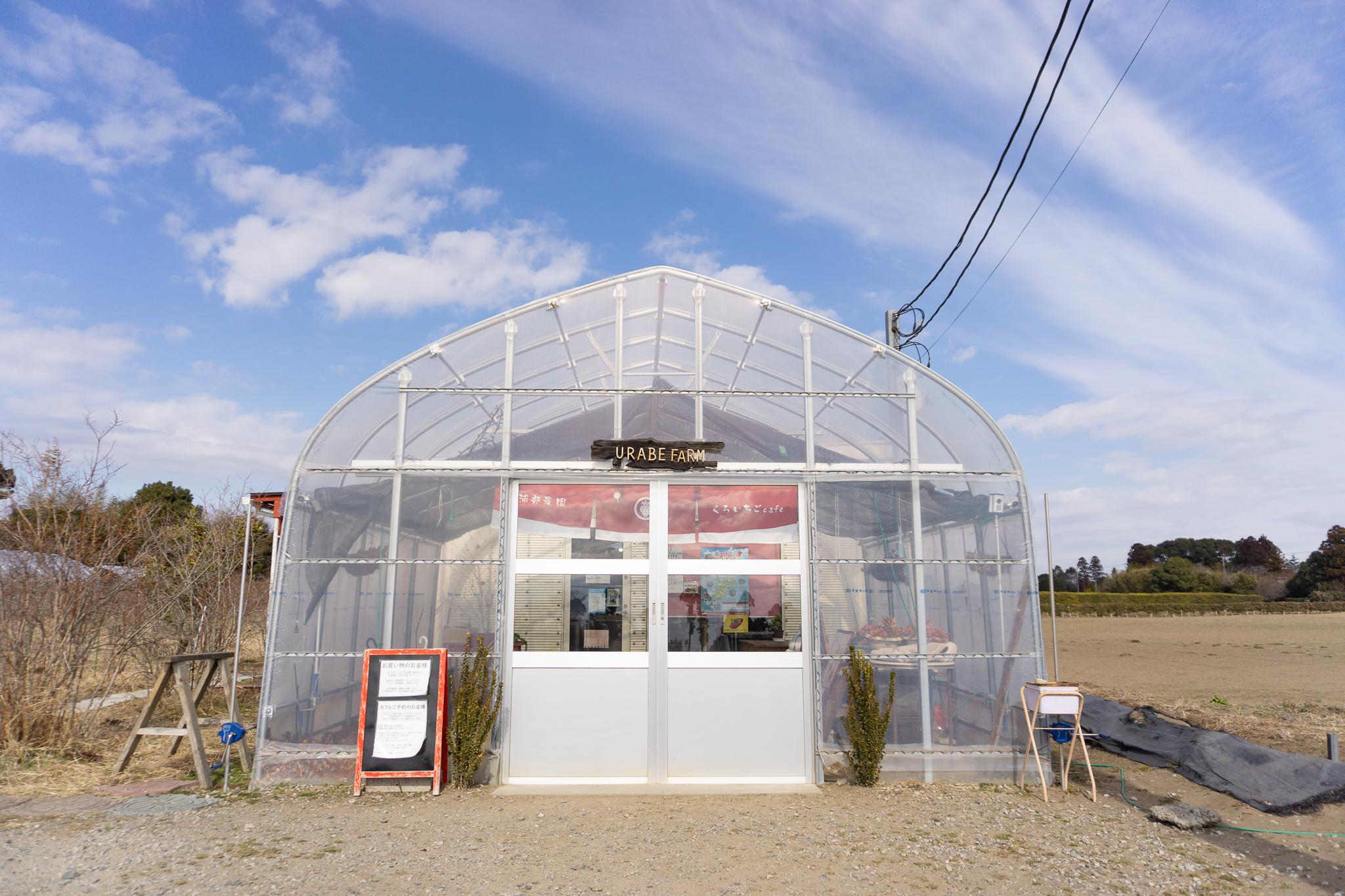 浦部農園のくろいちごカフェの店内の看板メニューとPOPの画像